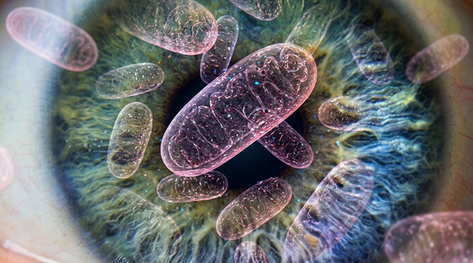 Mitochondria Are Trending. Here Is What That Means for Your Eyes.