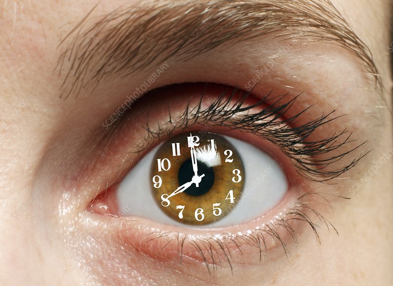 Your Body Clock and Your Eyes: How Circadian Disruption Affects Vision