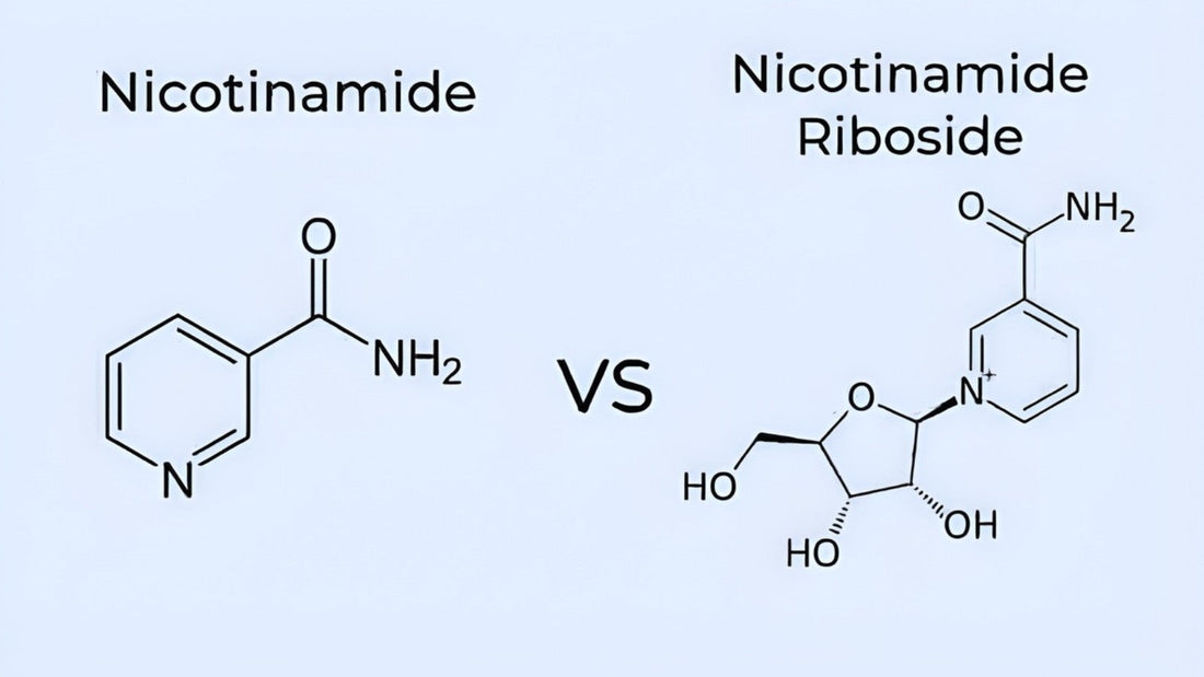 NR vs. Nicotinamide: What Is the Difference for Eye Health?