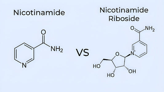 NR vs. Nicotinamide: What Is the Difference for Eye Health?