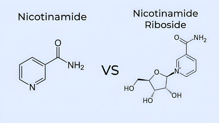 NR vs. Nicotinamide: What Is the Difference for Eye Health?